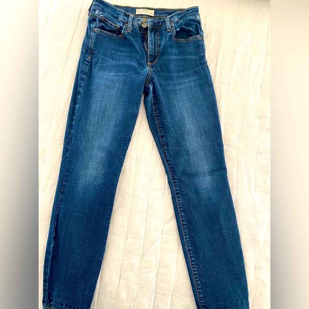 The Gap True Skinny